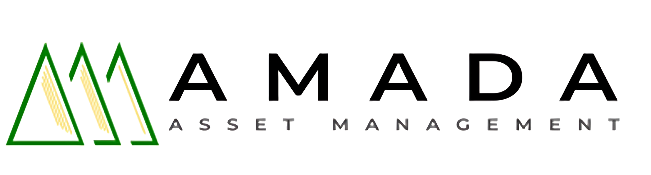 AMADA Asset Management