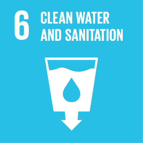 SDG 6 Icon