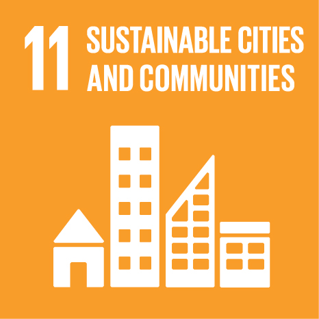 SDG 11 Icon